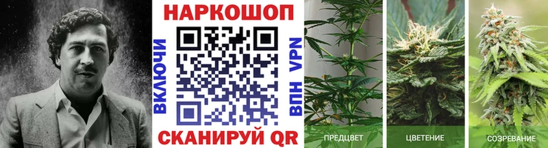 Купить наркотики цена Великие Луки Альфа ПВП  Марихуана  kraken ONION  КОКАИН 