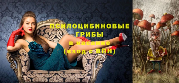 a pvp Сосновый Бор