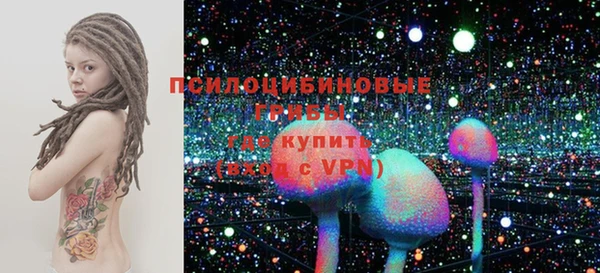 дурь Белокуриха