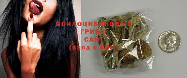 дурь Белокуриха
