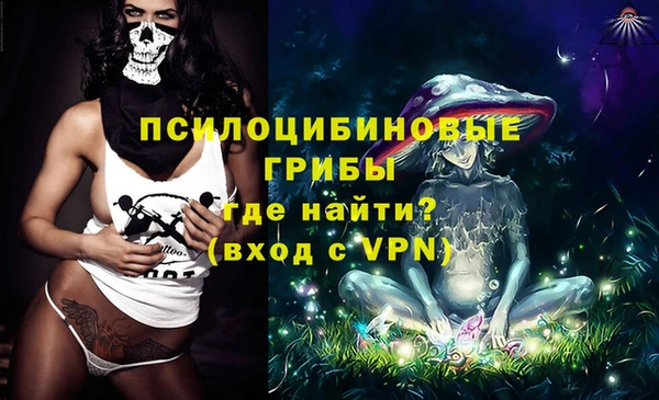 дурь Белокуриха